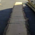 Douglas fir slab, ready to be sawn into beams