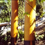 Turned DF Columns, House on A Lake, James Culter, Peter Bohlin, Thierry Despont
