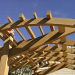 Tetraleaf - Sawn Teak Veneers, Landry Design Group